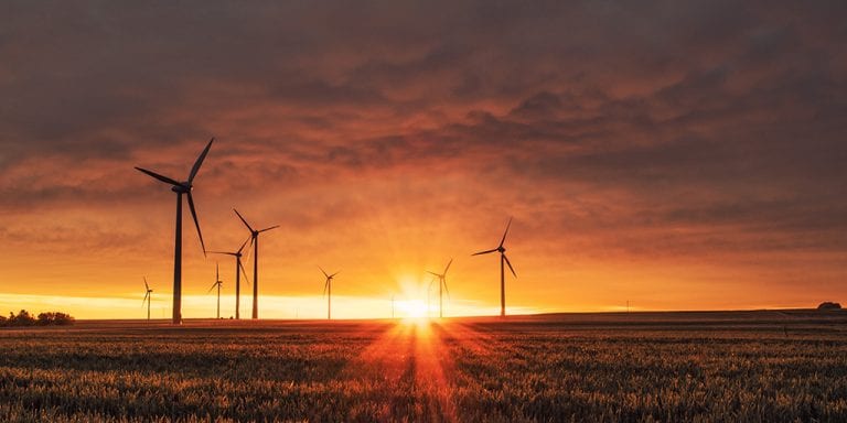 Windmills in sunset