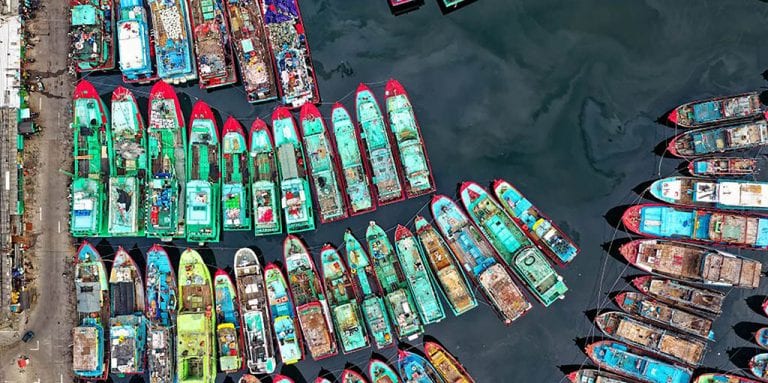 Fishing boats in a harbour