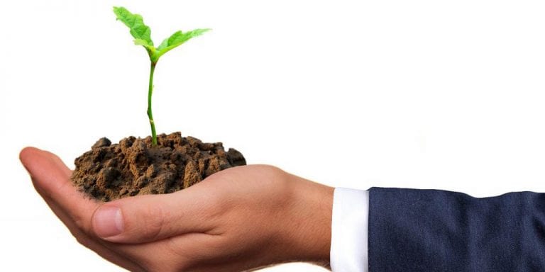 Hand with plant